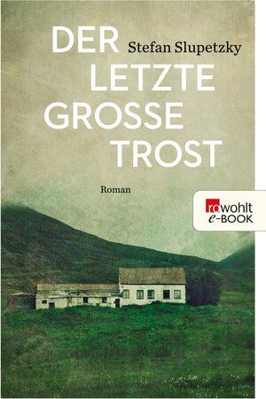 Buchcover Der letzte große Trost | Stefan Slupetzky | EAN 9783644048218 | ISBN 3-644-04821-5 | ISBN 978-3-644-04821-8