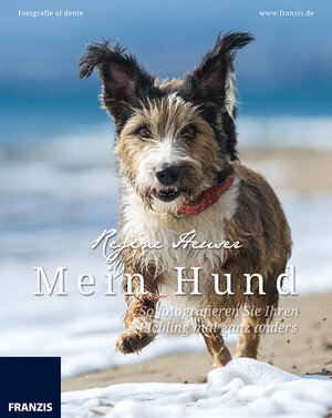 Buchcover Mein Hund - So fotografieren Sie Ihren Liebling mal ganz anders | Regine Heuser | EAN 9783645603584 | ISBN 3-645-60358-1 | ISBN 978-3-645-60358-4