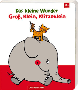 Buchcover Das kleine Wunder - Groß, Klein, Klitzeklein | Sandra Grimm | EAN 9783649615385 | ISBN 3-649-61538-X | ISBN 978-3-649-61538-5