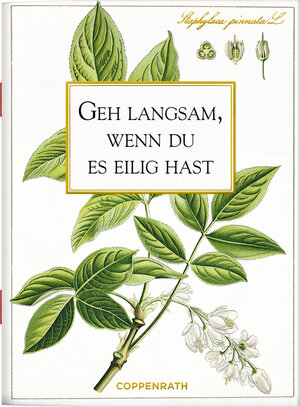 Buchcover Geh langsam, wenn du es eilig hast  | EAN 9783649636885 | ISBN 3-649-63688-3 | ISBN 978-3-649-63688-5