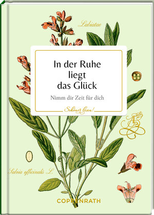 Buchcover In der Ruhe liegt das Glück  | EAN 9783649648819 | ISBN 3-649-64881-4 | ISBN 978-3-649-64881-9