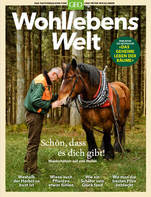 Buchcover Wohllebens Welt / Wohllebens Welt - 3/2019 Neue Ideen für nachhaltigen Umgang | Peter Wohlleben | EAN 9783652009270 | ISBN 3-652-00927-4 | ISBN 978-3-652-00927-0