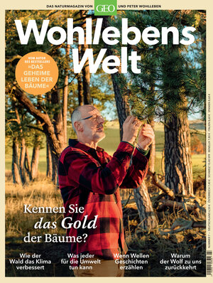Buchcover Wohllebens Welt / Wohllebens Welt 7/2020 - Kennen Sie das Gold der Bäume? | Peter Wohlleben | EAN 9783652009324 | ISBN 3-652-00932-0 | ISBN 978-3-652-00932-4