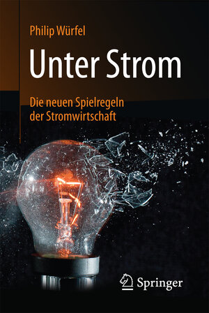 Buchcover Unter Strom | Philip Würfel | EAN 9783658151638 | ISBN 3-658-15163-3 | ISBN 978-3-658-15163-8