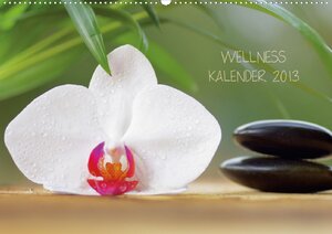 Buchcover Wellness Kalender 2013 (Wandkalender 2013 DIN A4 quer) | k.A. Avianaarts Design Fotografie by Tanja Riedel | EAN 9783660006131 | ISBN 3-660-00613-0 | ISBN 978-3-660-00613-1