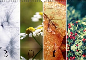 Buchcover Bunt durch das Jahr (Wandkalender 2013 DIN A3 quer) | K. Rippl | EAN 9783660025477 | ISBN 3-660-02547-X | ISBN 978-3-660-02547-7