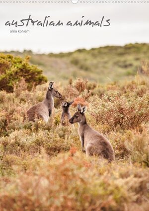 Buchcover australian animals (Wandkalender 2013 DIN A2 hoch) | Arno Kohlem | EAN 9783660077933 | ISBN 3-660-07793-3 | ISBN 978-3-660-07793-3