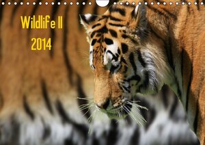 Buchcover Wildlife II / 2014 (Wandkalender 2014 DIN A4 quer) | Jens Klingebiel | EAN 9783660127904 | ISBN 3-660-12790-6 | ISBN 978-3-660-12790-4