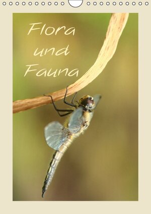 Buchcover Flora und Fauna (Wandkalender 2014 DIN A4 hoch) | Heike Hultsch | EAN 9783660229103 | ISBN 3-660-22910-5 | ISBN 978-3-660-22910-3