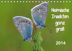 Buchcover Heimische Insekten ganz GROSS (Tischkalender 2014 DIN A5 quer) | Gerald Wolf | EAN 9783660339550 | ISBN 3-660-33955-5 | ISBN 978-3-660-33955-0