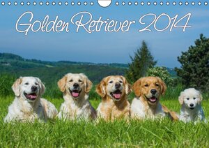 Buchcover Golden Retriever 2014 (Wandkalender 2014 DIN A4 quer) | Sigrid Starick | EAN 9783660379969 | ISBN 3-660-37996-4 | ISBN 978-3-660-37996-9