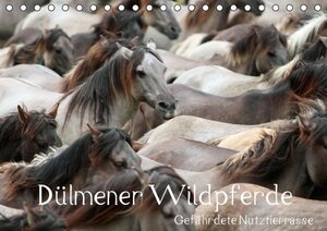 Buchcover Dülmener Wildpferde - Gefährdete Nutztierrasse (Tischkalender immerwährend DIN A5 quer) | Barbara Mielewczyk | EAN 9783660482171 | ISBN 3-660-48217-X | ISBN 978-3-660-48217-1