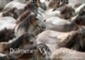 Buchcover Dülmener Wildpferde - Gefährdete Nutztierrasse (Wandkalender immerwährend DIN A4 quer) | Barbara Mielewczyk | EAN 9783660482195 | ISBN 3-660-48219-6 | ISBN 978-3-660-48219-5