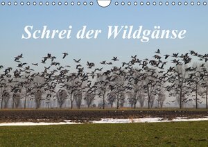 Buchcover Schrei der Wildgänse / AT-Version (Wandkalender 2014 DIN A4 quer) | rolf pötsch | EAN 9783660496765 | ISBN 3-660-49676-6 | ISBN 978-3-660-49676-5
