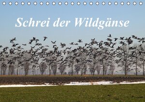 Buchcover Schrei der Wildgänse / AT-Version (Tischkalender 2014 DIN A5 quer) | rolf pötsch | EAN 9783660496796 | ISBN 3-660-49679-0 | ISBN 978-3-660-49679-6