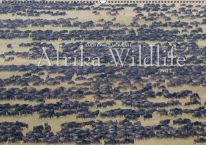 Buchcover Emotionale Momente: Afrika Wildlife / CH-Version (Wandkalender 2014 DIN A2 quer) | Ingo Gerlach GDT | EAN 9783660530575 | ISBN 3-660-53057-3 | ISBN 978-3-660-53057-5