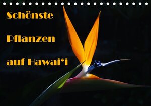 Buchcover Schönste Pflanzen auf Hawai'i / AT-Version (Tischkalender 2014 DIN A5 quer) | Rudolf Friederich | EAN 9783660537062 | ISBN 3-660-53706-3 | ISBN 978-3-660-53706-2