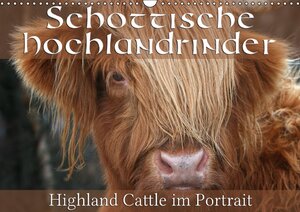 Buchcover Schottische Hochlandrinder - Highland Cattle im Portrait (Wandkalender 2015 DIN A3 quer) | Martina Cross | EAN 9783660558036 | ISBN 3-660-55803-6 | ISBN 978-3-660-55803-6