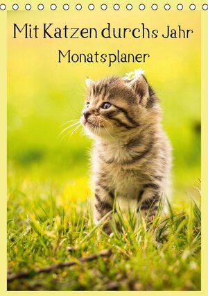 Buchcover Mit Katzen durchs Jahr / Planer (Tischkalender 2015 DIN A5 hoch) | Yvonne Obermüller Fotografie | EAN 9783660599411 | ISBN 3-660-59941-7 | ISBN 978-3-660-59941-1