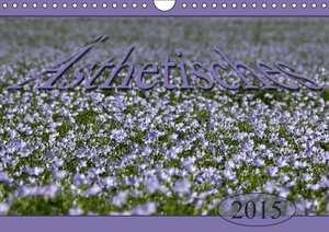 Buchcover Ästhetisches (Wandkalender 2015 DIN A4 quer) | k.A. Flori0 | EAN 9783660621389 | ISBN 3-660-62138-2 | ISBN 978-3-660-62138-9