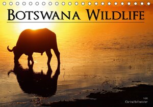 Buchcover Botswana Wildlife (Tischkalender 2015 DIN A5 quer) | Carina Hofmeister | EAN 9783660804607 | ISBN 3-660-80460-6 | ISBN 978-3-660-80460-7