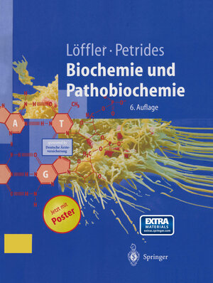 Buchcover Biochemie und Pathobiochemie | Georg Löffler | EAN 9783662060605 | ISBN 3-662-06060-4 | ISBN 978-3-662-06060-5