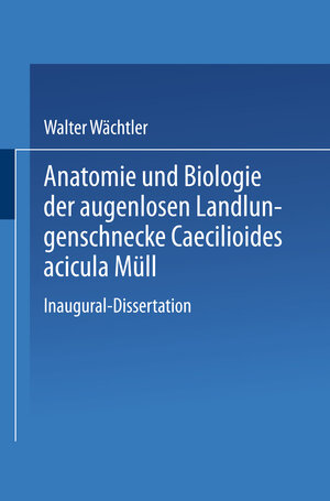 Buchcover Anatomie und Biologie der augenlosen Landlungenschnecke Caecilioides acicula Müll | Walter Wächtler | EAN 9783662408612 | ISBN 3-662-40861-9 | ISBN 978-3-662-40861-2