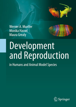 Buchcover Development and Reproduction in Humans and Animal Model Species | Werner A. Mueller | EAN 9783662437841 | ISBN 3-662-43784-8 | ISBN 978-3-662-43784-1