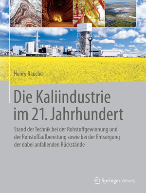 Buchcover Die Kaliindustrie im 21. Jahrhundert | Henry Rauche | EAN 9783662468340 | ISBN 3-662-46834-4 | ISBN 978-3-662-46834-0