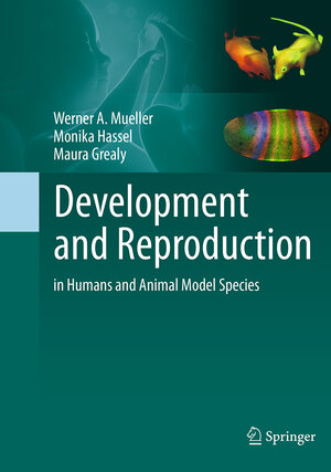 Buchcover Development and Reproduction in Humans and Animal Model Species | Werner A. Mueller | EAN 9783662495995 | ISBN 3-662-49599-6 | ISBN 978-3-662-49599-5