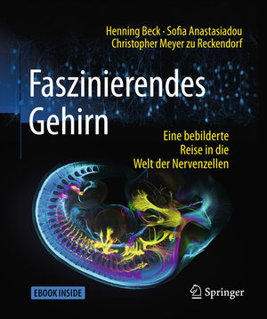 Buchcover Faszinierendes Gehirn | Henning Beck | EAN 9783662547557 | ISBN 3-662-54755-4 | ISBN 978-3-662-54755-7