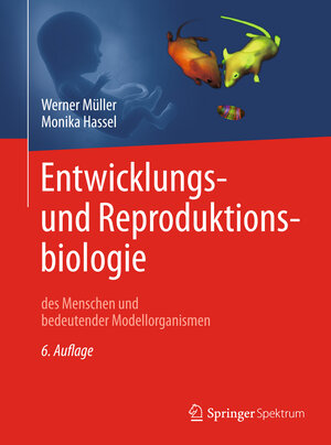 Buchcover Entwicklungsbiologie und Reproduktionsbiologie des Menschen und bedeutender Modellorganismen | Werner A. Müller | EAN 9783662555330 | ISBN 3-662-55533-6 | ISBN 978-3-662-55533-0