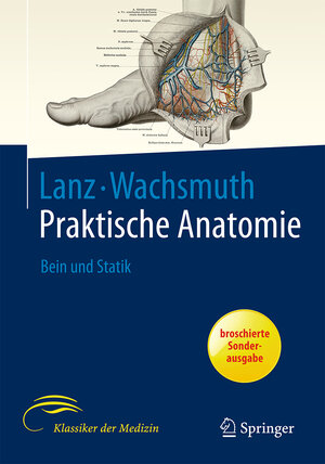 Buchcover Bein und Statik | Johannes Lang | EAN 9783662580882 | ISBN 3-662-58088-8 | ISBN 978-3-662-58088-2