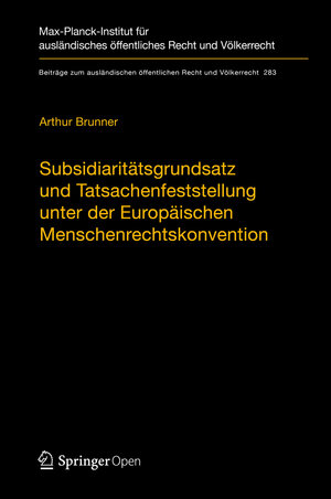 Buchcover Subsidiaritätsgrundsatz und Tatsachenfeststellung unter der Europäischen Menschenrechtskonvention | Arthur Brunner | EAN 9783662588871 | ISBN 3-662-58887-0 | ISBN 978-3-662-58887-1