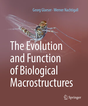 Buchcover The Evolution and Function of Biological Macrostructures | Georg Glaeser | EAN 9783662592915 | ISBN 3-662-59291-6 | ISBN 978-3-662-59291-5