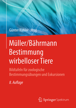 Buchcover Müller/Bährmann Bestimmung wirbelloser Tiere  | EAN 9783662617168 | ISBN 3-662-61716-1 | ISBN 978-3-662-61716-8