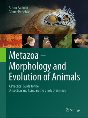 Buchcover Metazoa – Morphology and Evolution of Animals | Achim Paululat | EAN 9783662699041 | ISBN 3-662-69904-4 | ISBN 978-3-662-69904-1