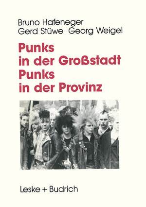 Buchcover Punks in der Großstadt — Punks in der Provinz  | EAN 9783663015055 | ISBN 3-663-01505-X | ISBN 978-3-663-01505-5