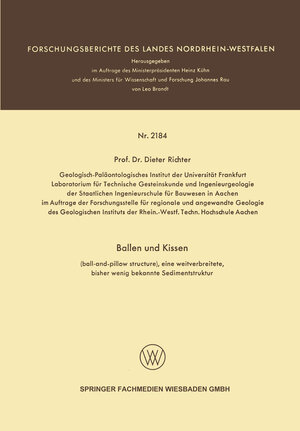 Buchcover Ballen und Kissen | Dieter Richter | EAN 9783663204114 | ISBN 3-663-20411-1 | ISBN 978-3-663-20411-4