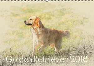 Buchcover Golden Retriever 2016 (Wandkalender 2016 DIN A2 quer) | Andrea Redecker | EAN 9783664124138 | ISBN 3-664-12413-8 | ISBN 978-3-664-12413-8