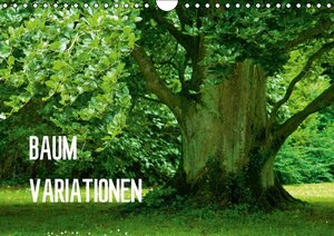 Buchcover Baum-Variationen (Wandkalender 2016 DIN A4 quer) | Joachim Barig | EAN 9783664234523 | ISBN 3-664-23452-9 | ISBN 978-3-664-23452-3
