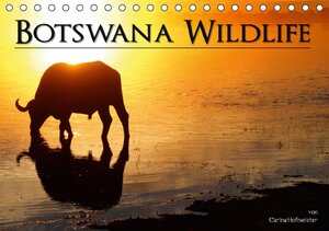 Buchcover Botswana Wildlife (Tischkalender 2016 DIN A5 quer) | Carina Hofmeister | EAN 9783664343973 | ISBN 3-664-34397-2 | ISBN 978-3-664-34397-3