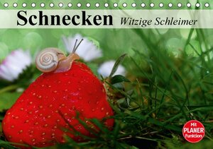 Buchcover Schnecken. Witzige Schleimer (Tischkalender 2016 DIN A5 quer) | Elisabeth Stanzer | EAN 9783664711642 | ISBN 3-664-71164-5 | ISBN 978-3-664-71164-2