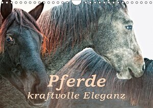 Buchcover Pferde - kraftvolle Eleganz (Wandkalender 2017 DIN A4 quer) | Liselotte Brunner-Klaus | EAN 9783664808281 | ISBN 3-664-80828-2 | ISBN 978-3-664-80828-1