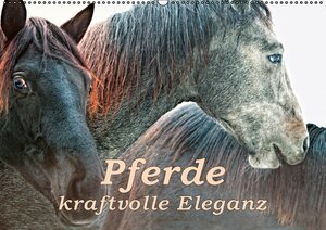 Buchcover Pferde - kraftvolle Eleganz (Wandkalender 2017 DIN A2 quer) | Liselotte Brunner-Klaus | EAN 9783664808311 | ISBN 3-664-80831-2 | ISBN 978-3-664-80831-1