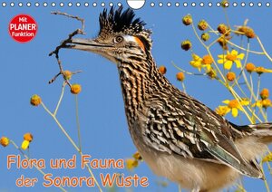 Buchcover Flora und Fauna der Sonora Wüste (Wandkalender 2017 DIN A4 quer) | Dieter-M. Wilczek | EAN 9783664812219 | ISBN 3-664-81221-2 | ISBN 978-3-664-81221-9