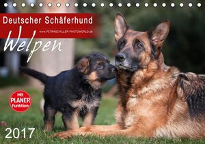 Buchcover Deutscher Schäferhund - Welpen (Tischkalender 2017 DIN A5 quer) | Petra Schiller | EAN 9783664817917 | ISBN 3-664-81791-5 | ISBN 978-3-664-81791-7
