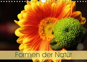 Buchcover Formen der Natur (Wandkalender 2017 DIN A4 quer) | Horst Eisele | EAN 9783664829026 | ISBN 3-664-82902-6 | ISBN 978-3-664-82902-6