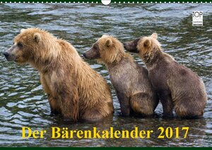 Buchcover Der Bärenkalender 2017 (Wandkalender 2017 DIN A3 quer) | Max Steinwald | EAN 9783664916146 | ISBN 3-664-91614-X | ISBN 978-3-664-91614-6