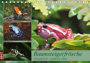 Buchcover Baumsteigerfrösche. Pfeilgiftfrösche - gefährlich schön (Tischkalender 2017 DIN A5 quer) | B. Mielewczyk | EAN 9783664975792 | ISBN 3-664-97579-0 | ISBN 978-3-664-97579-2